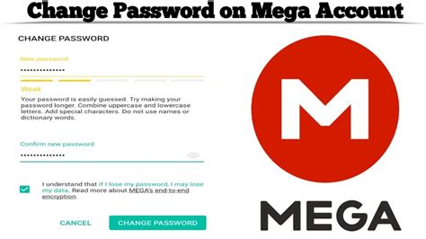 mega change password